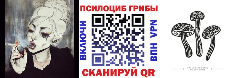 Псилоцибиновые грибы прущие грибы  цена наркотик  Гвардейск 